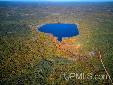 One of a kind property that surrounds an entire 142 acre lake - photo 3