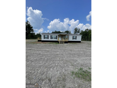 (private lake, pond, creek) Home For Sale in Nahunta Georgia