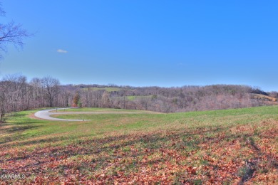 Lot 230 Jade Lane: This lot is level to gently rolling with lots - Lake Lot For Sale in New Tazewell, Tennessee