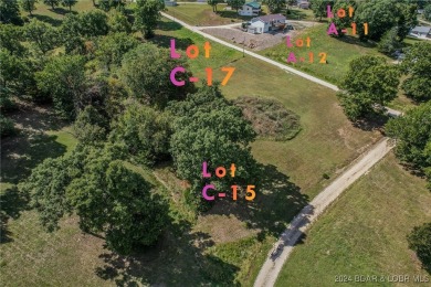 Large Building lot in Johnsons Bay subdivision! lot is 9/10 of - photo 11