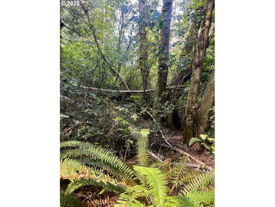 Discover the potential of this beautiful two-acre property - photo 12