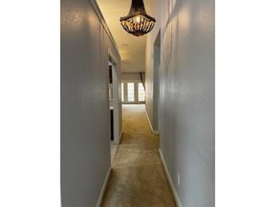 Corner unit town home in Diamond Lakes subdivision, a rare gem - photo 10