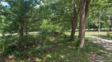 There is 5.3 acres of possibility. This expansive, mostly level - photo 4