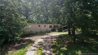 There is 5.3 acres of possibility. This expansive, mostly level - photo 5