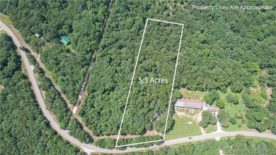 There is 5.3 acres of possibility. This expansive, mostly level - photo 7