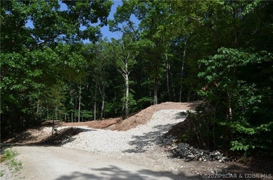 Lakeview Lot on Marina Lane - Perfect for Building or Camping! - photo 2