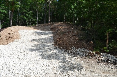 Lakeview Lot on Marina Lane - Perfect for Building or Camping! - photo 3