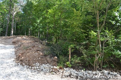 Lakeview Lot on Marina Lane - Perfect for Building or Camping! - photo 4