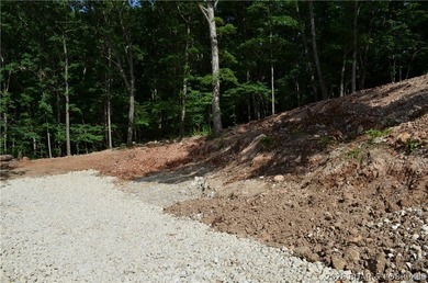 Lakeview Lot on Marina Lane - Perfect for Building or Camping! - photo 6