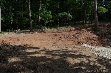 Lakeview Lot on Marina Lane - Perfect for Building or Camping! - photo 8