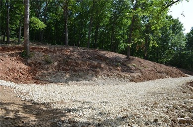 Lakeview Lot on Marina Lane - Perfect for Building or Camping! - photo 9