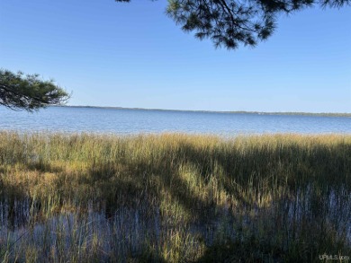Lake Lot For Sale in Gould City, Michigan