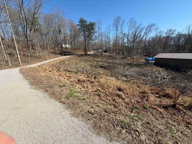Lake Lot Near Conley Bottom - Ready for Your Dream Getaway Don't - photo 11