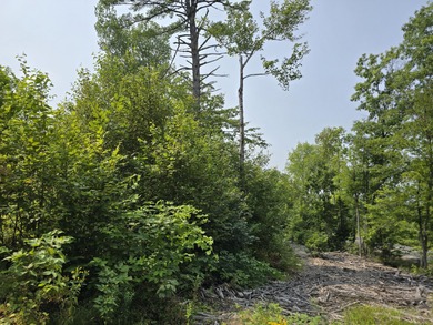 This 1.11-acre lot in the new Bear Brook Subdivision offers the - photo 14