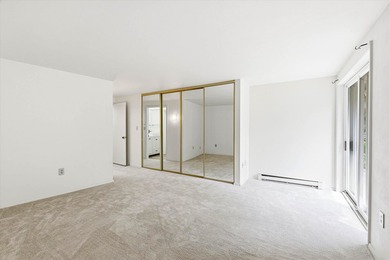 Why rent when you can own? This move-in ready condo features a - photo 19