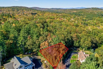 Paugus Bay Lot Sale Pending in Laconia New Hampshire