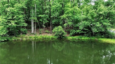 Lake Lot For Sale in Salem, South Carolina