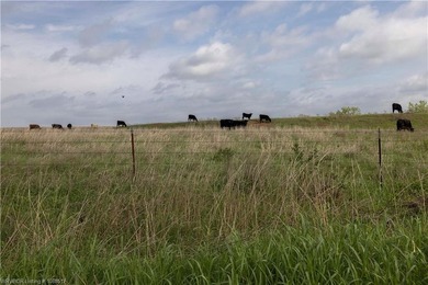 Experience the beauty and functionality of this 39.93-acre - photo 4