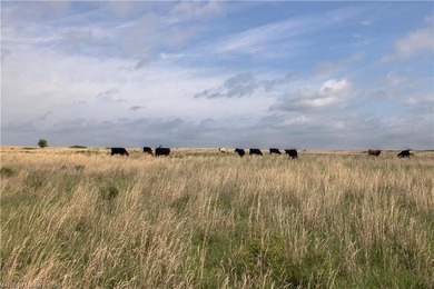 Experience the beauty and functionality of this 39.93-acre - photo 5