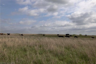 Experience the beauty and functionality of this 39.93-acre - photo 8