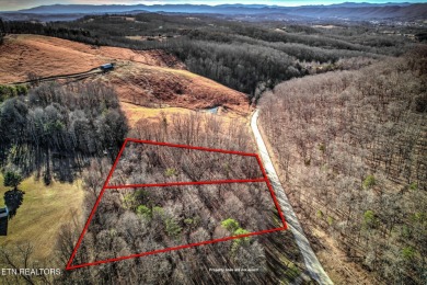 Norris Lake Acreage For Sale in Lafollette Tennessee