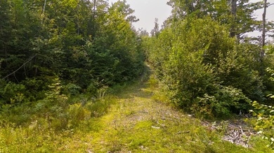 This 1.12-acre lot in the new Bear Brook Subdivision offers the - photo 12