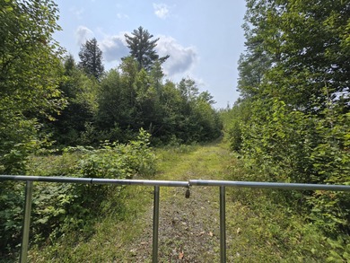 This 1.12-acre lot in the new Bear Brook Subdivision offers the - photo 13
