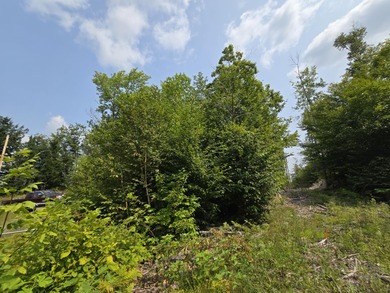 This 1.12-acre lot in the new Bear Brook Subdivision offers the - photo 14