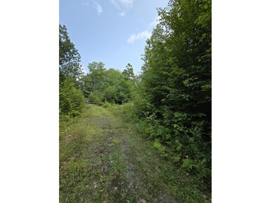 This 1.12-acre lot in the new Bear Brook Subdivision offers the - photo 15