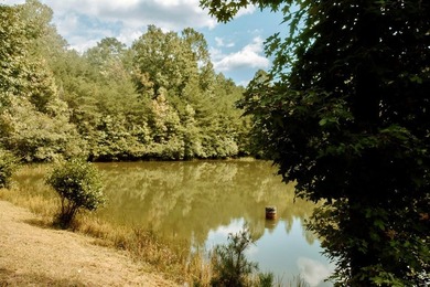 Surrounded by nature, this charming 3-bedroom, 2-bath waterfront - photo 28