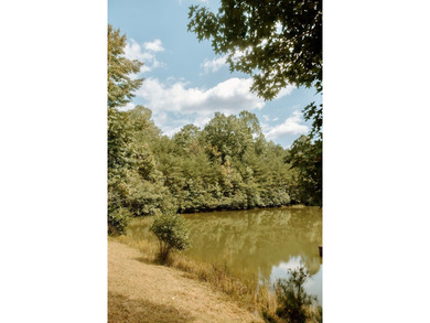 Surrounded by nature, this charming 3-bedroom, 2-bath waterfront - photo 29