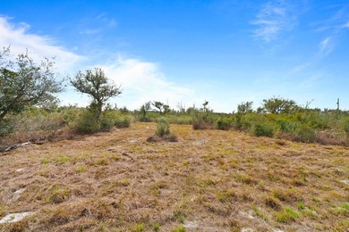 New Price!!! $220,000 Cleared and ready for your plans. Almost 3 - photo 16