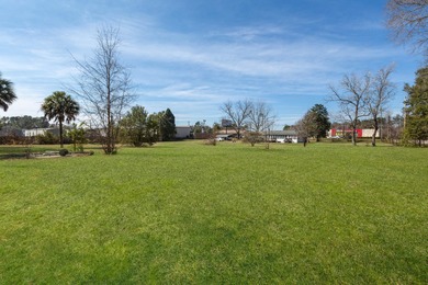 Prime Location in the heart of Moncks Corner! Check out this - photo 21