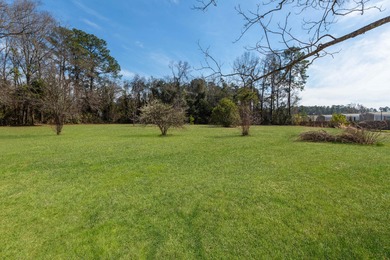 Prime Location in the heart of Moncks Corner! Check out this - photo 23