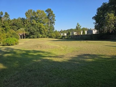 Prime Location in the heart of Moncks Corner! Check out this - photo 24