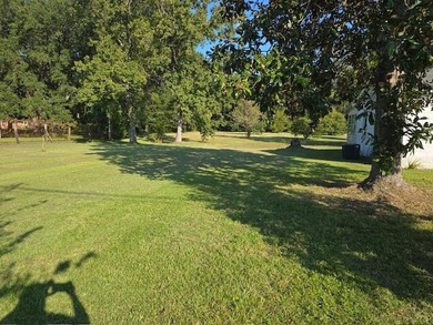 Prime Location in the heart of Moncks Corner! Check out this - photo 25