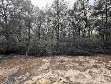 5.892 acres on Clear Creek - private, wooded and full of - photo 28