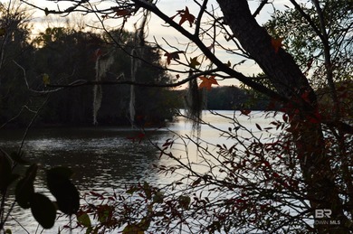 (private lake, pond, coastal) Acreage For Sale in Stockton Alabama