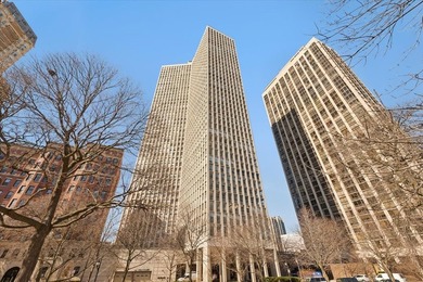 Lake Michigan - Cook County Condo For Sale in Chicago Illinois