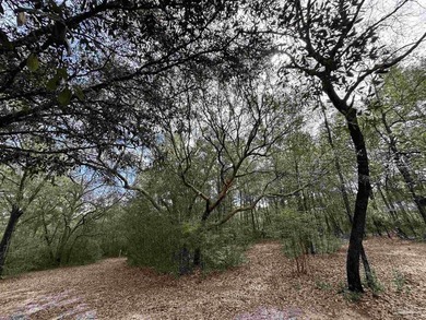 5.892 acres on Clear Creek - private, wooded and full of - photo 31