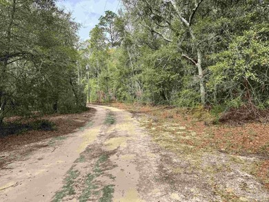 5.892 acres on Clear Creek - private, wooded and full of - photo 33