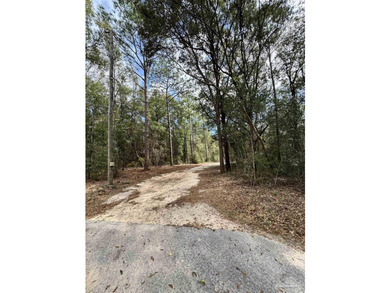 5.892 acres on Clear Creek - private, wooded and full of - photo 34