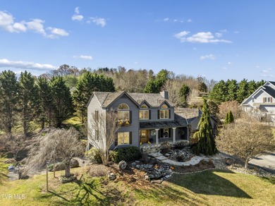 Lake Home For Sale in Gray, Tennessee