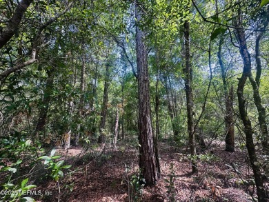 Lake Lot For Sale in Keystone Heights, Florida