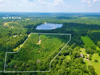 (private lake, pond, creek) Acreage For Sale in Poplarville Mississippi