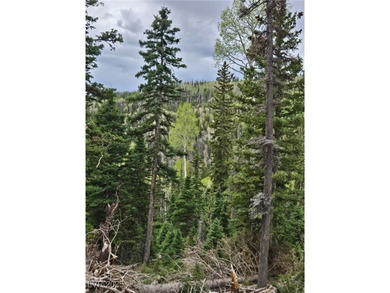 Mirror Lake Lot For Sale in Beaver Utah