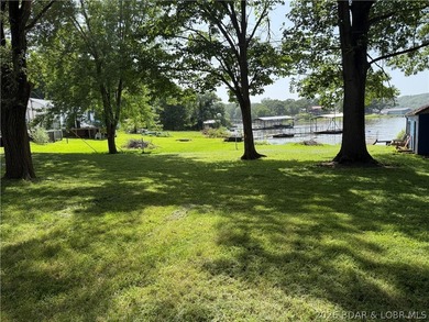 Rare 4-Lot Lakefront Property;Bonus Dock Lot Embrace this - photo 7
