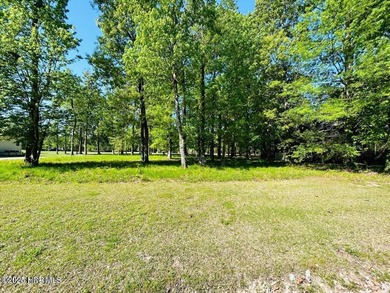A piece of paradise awaits your home plans here in the Albemarle - photo 2