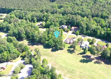 A piece of paradise awaits your home plans here in the Albemarle - photo 3