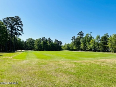 A piece of paradise awaits your home plans here in the Albemarle - photo 4
